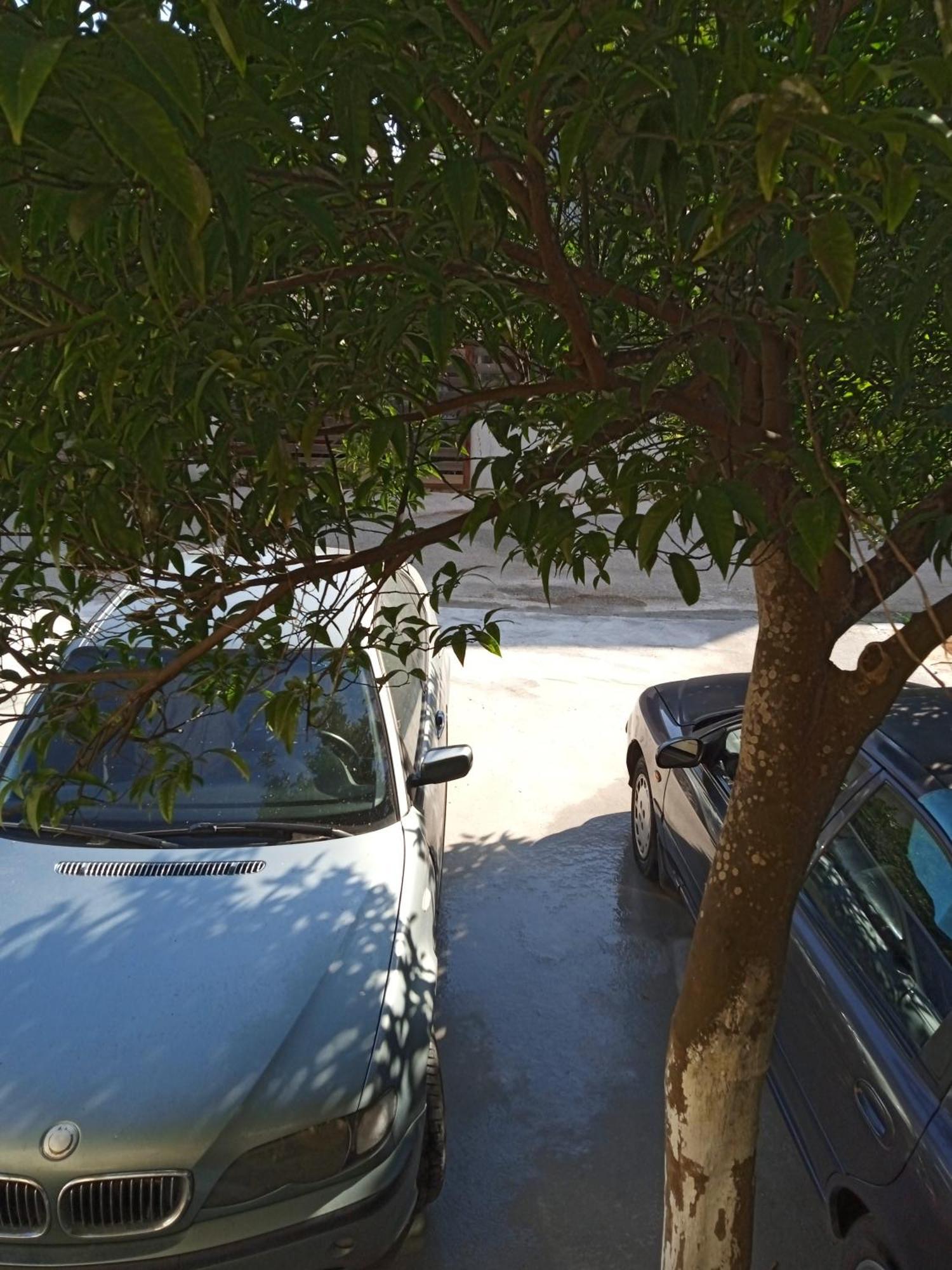 Αlexandras House Daire Preveze Dış mekan fotoğraf